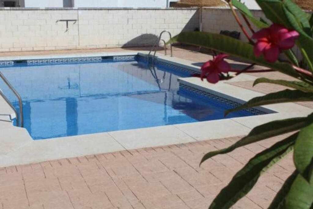 דירות Sol Wabi בנאלמדנה מראה חיצוני תמונה